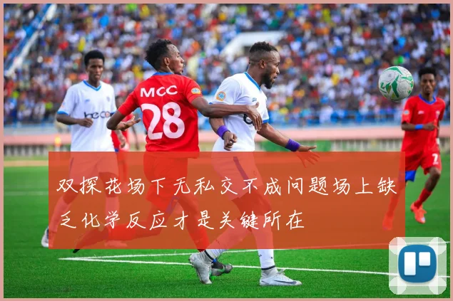 双探花场下无私交不成问题场上缺乏化学反应才是关键所在